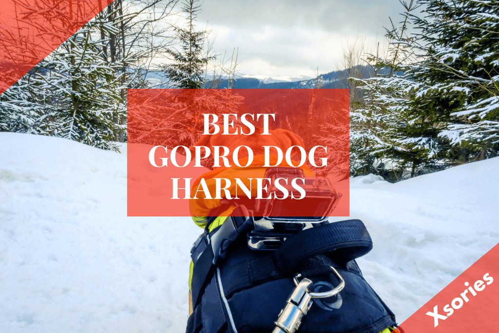 Best Gopro Dog Harness